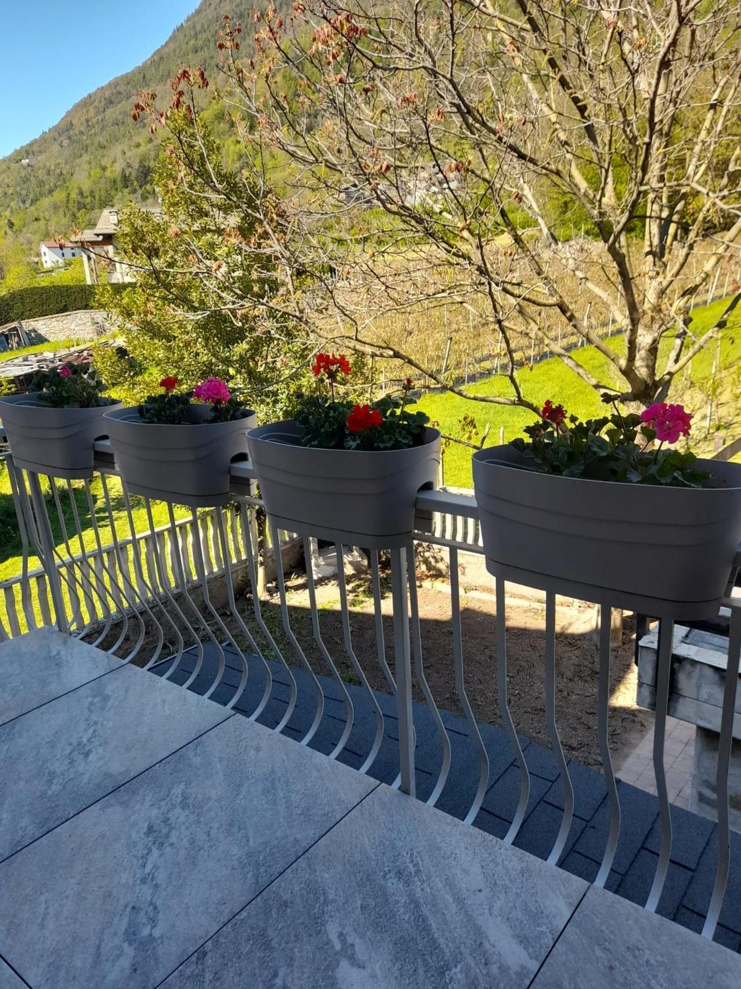 La Casetta Di Campagna Mazzo di Valtellina المظهر الخارجي الصورة
